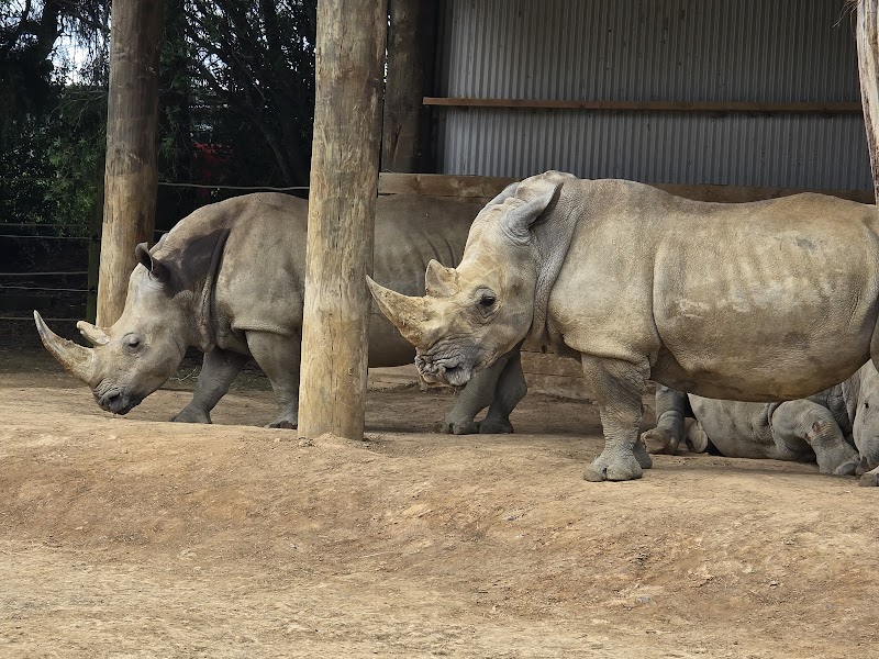Hamilton Zoo photo 2