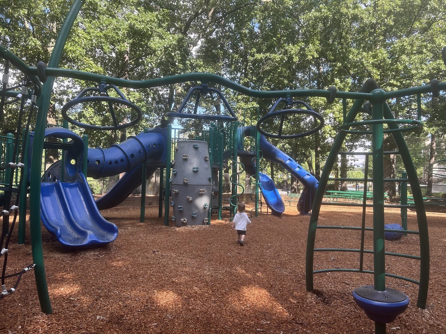 Hammond Park Playground