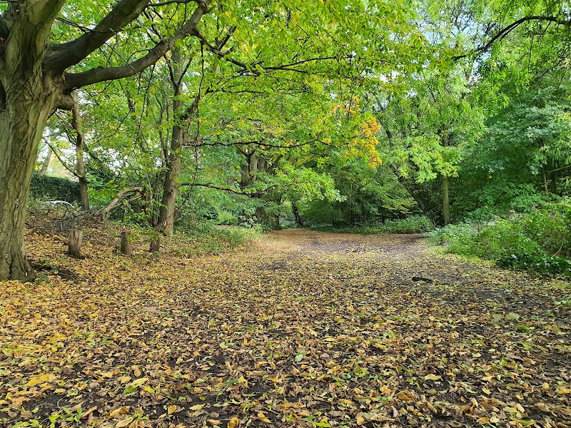 Hampstead Heath Extension Playground photo 2