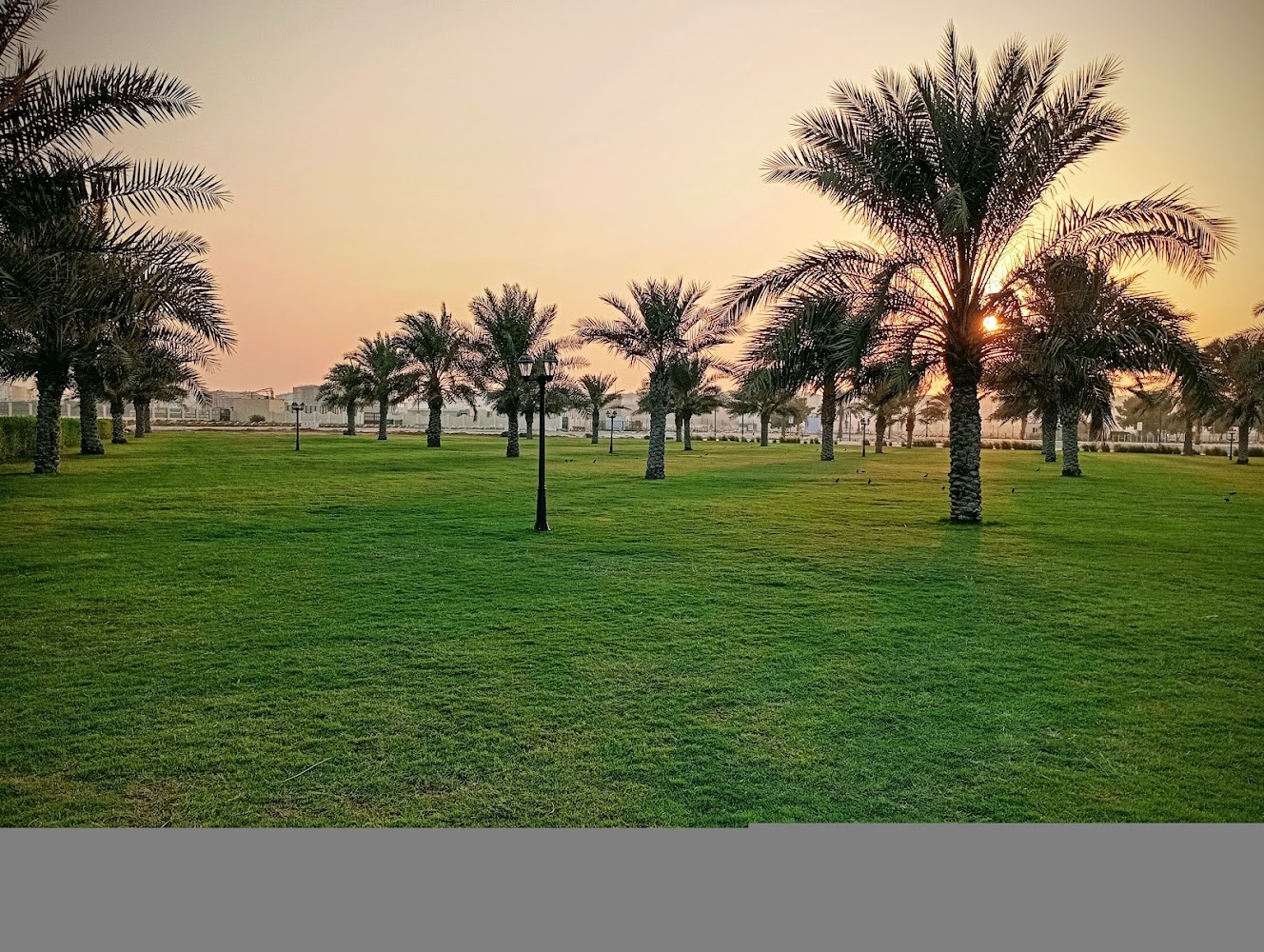 Hamriyah Beach Park photo 4
