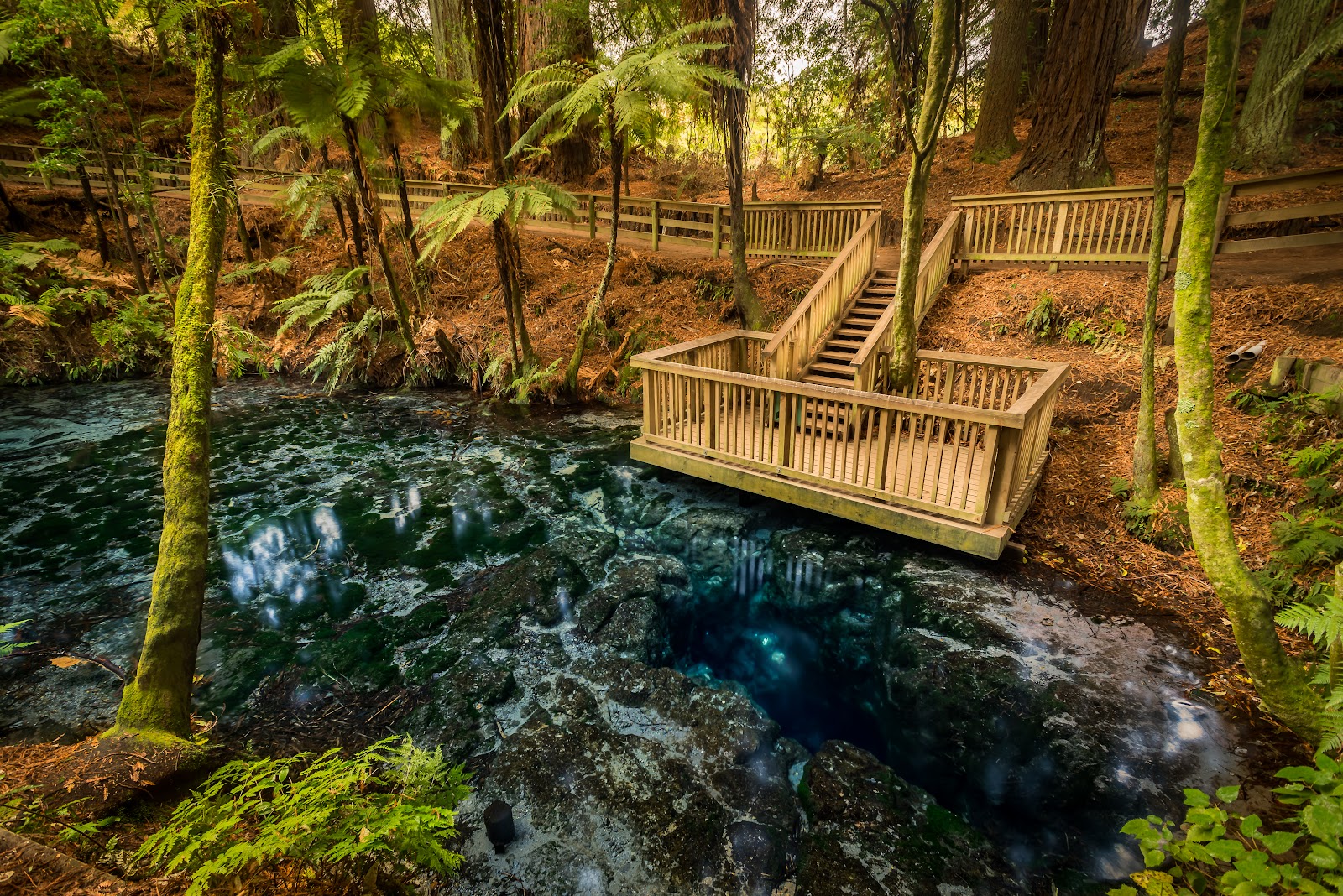 Hamurana Springs Nature Park
