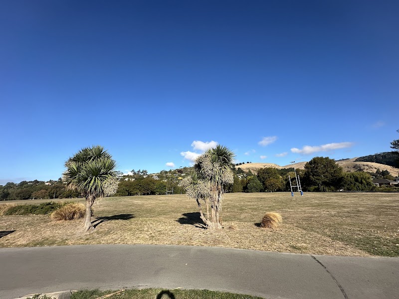 Hansen Park Playground