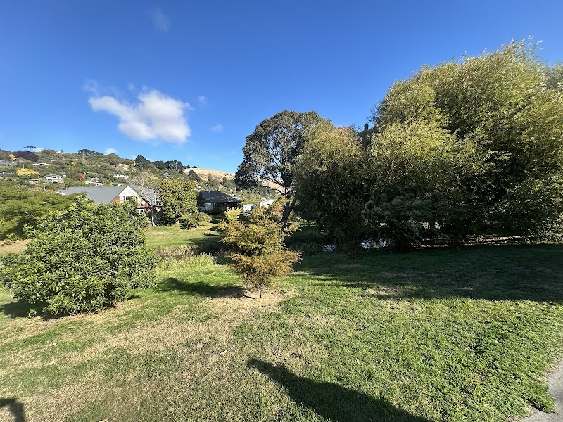 Hansen Park Playground photo 2