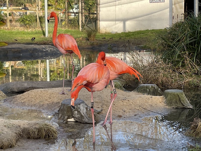 Hanwell Zoo photo 3
