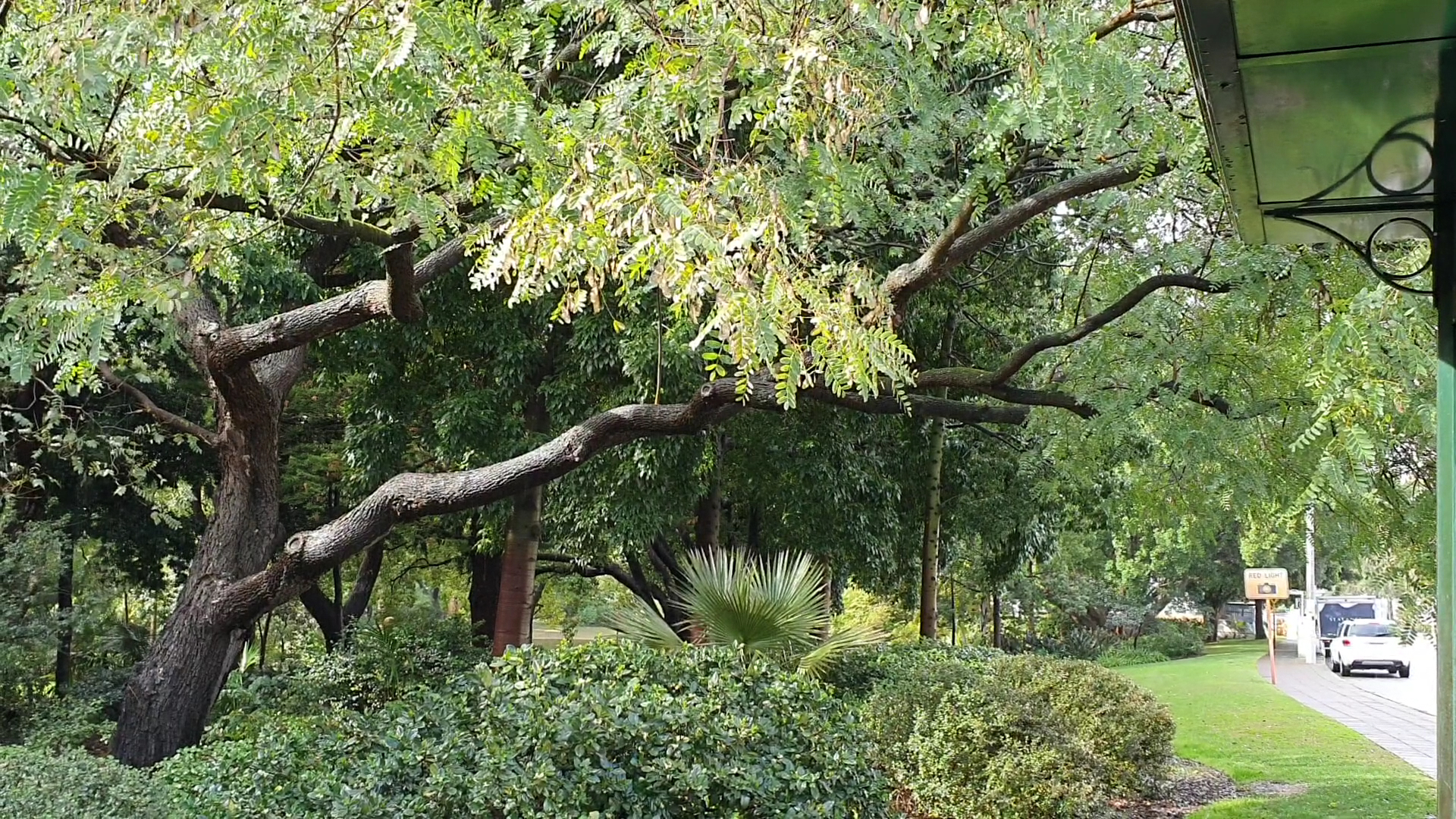 Harold Boas Gardens photo 3