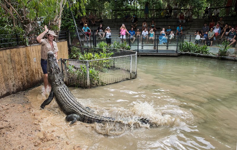 Hartley's Crocodile Adventures photo 2
