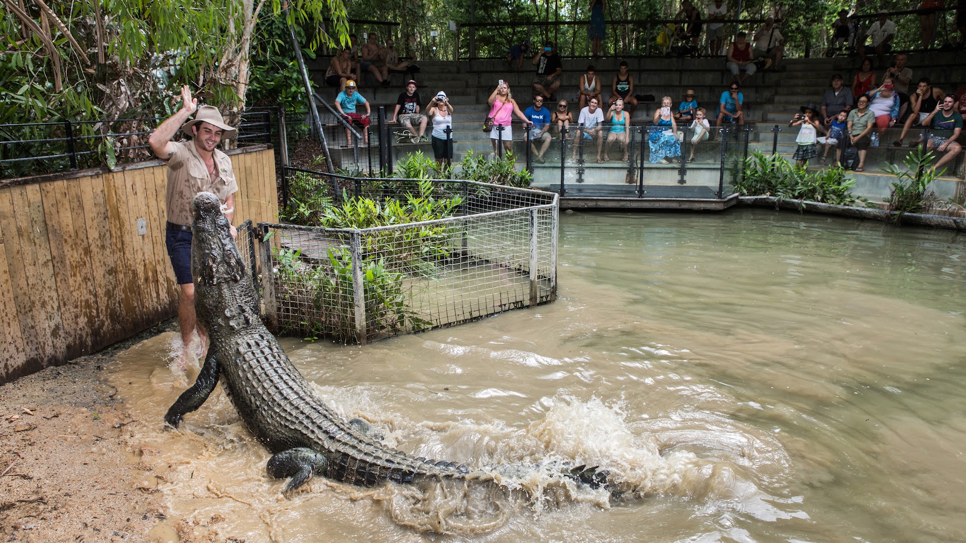 Hartley's Crocodile Adventures photo 2