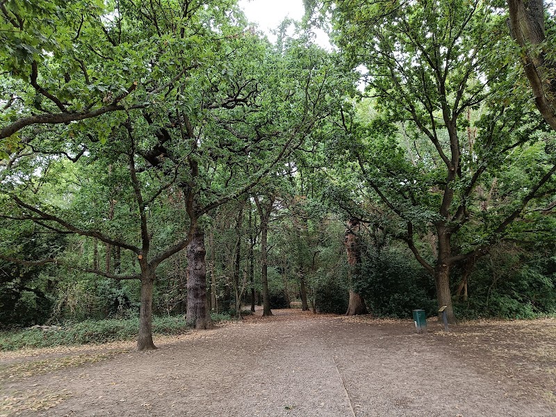 Harvington Woods