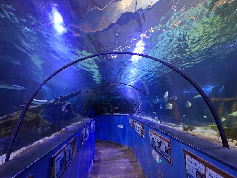 Hastings Aquarium photo 3
