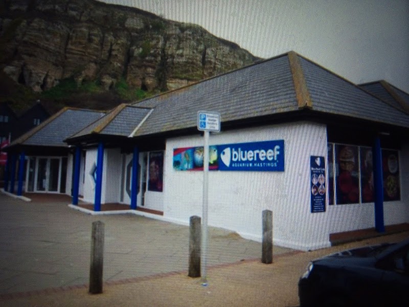 Hastings Aquarium photo 2