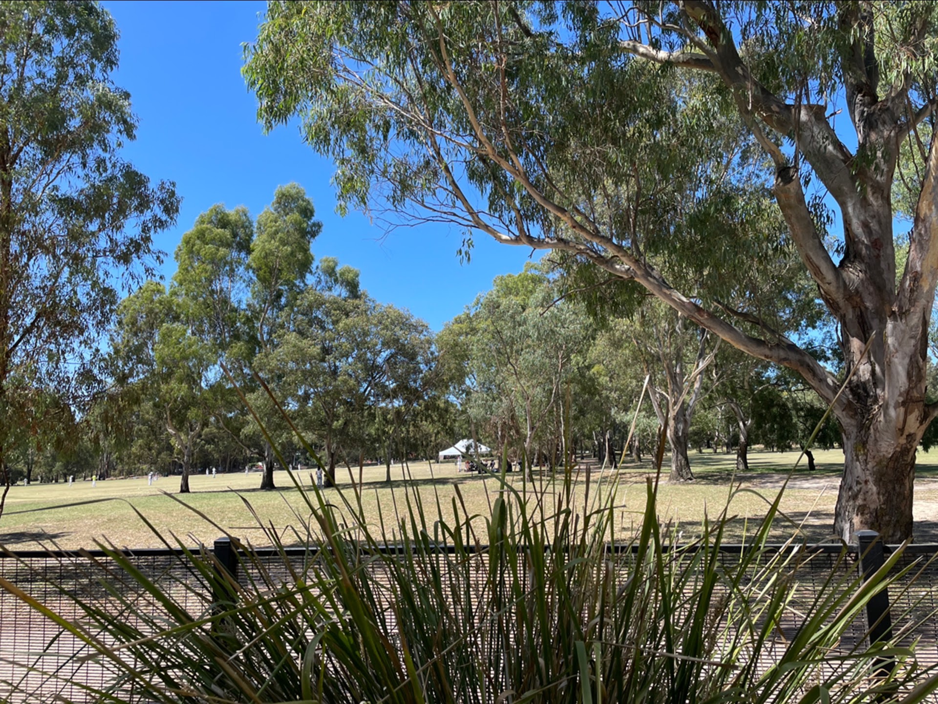 Hays Paddock Playground photo 2