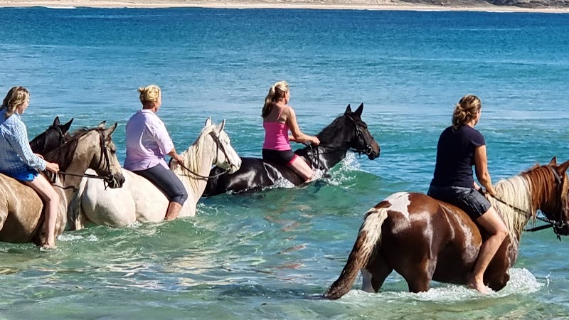 Heaven on Horseback photo 2