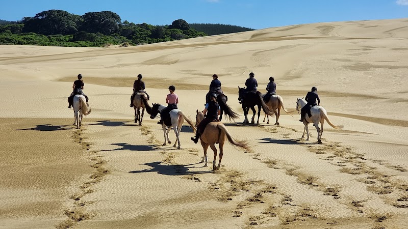 Heaven on Horseback photo 3