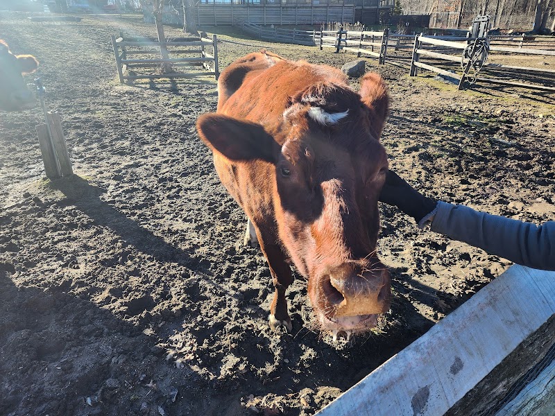 Heckscher Farm