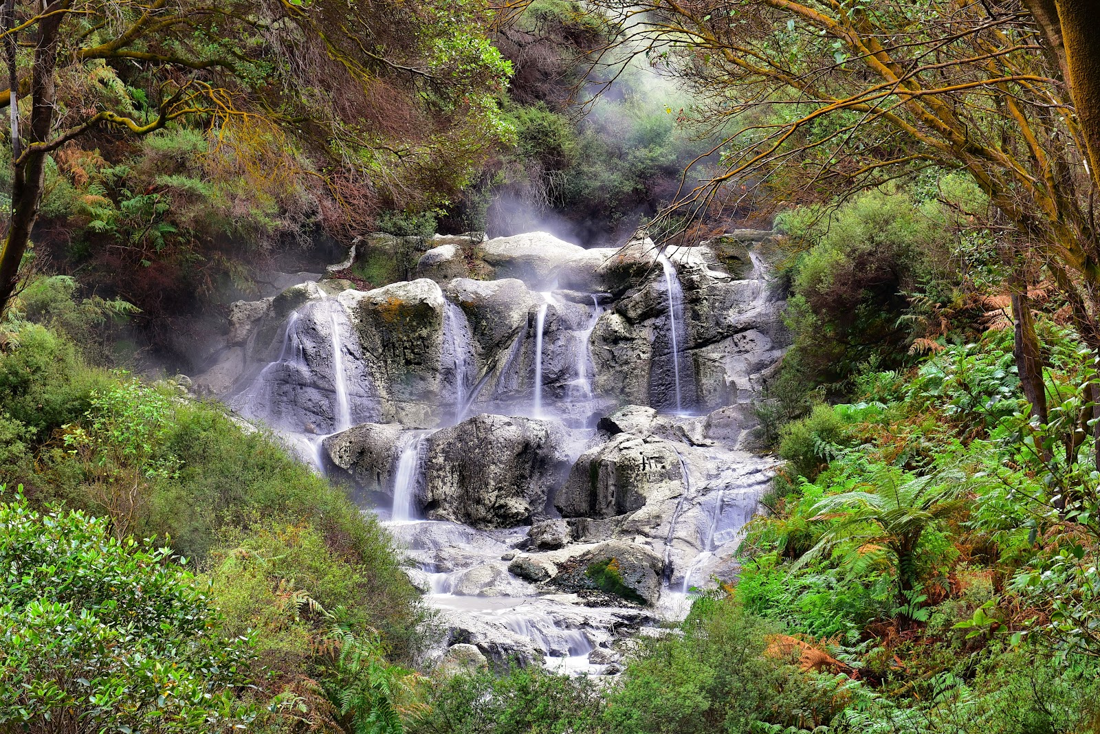 Hell's Gate Geothermal Park and Mud Spa photo 3