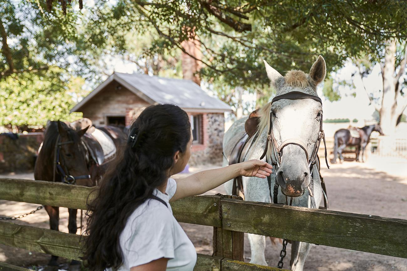 Hepburn Lagoon Trail Rides