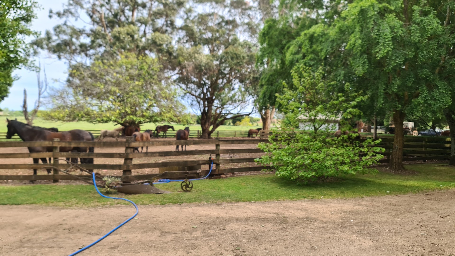 Hepburn Lagoon Trail Rides photo 2