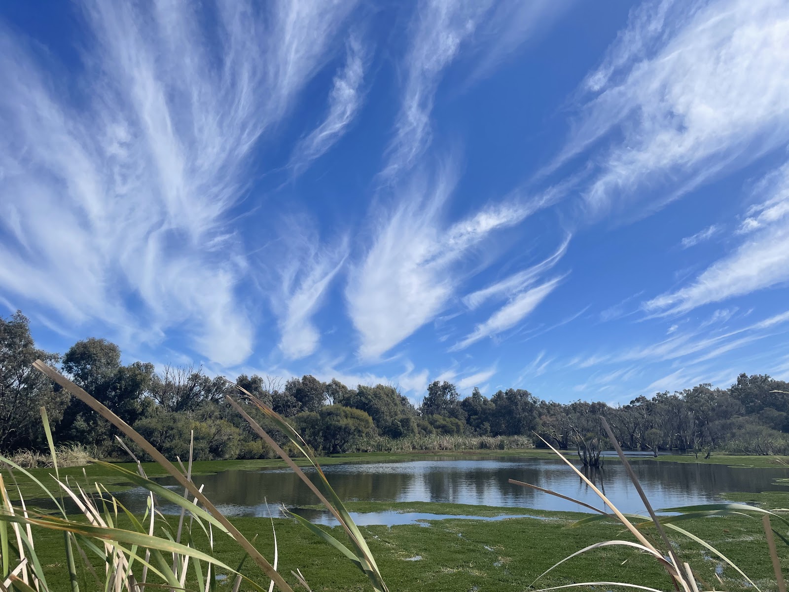 Herdsman Lake Regional Park