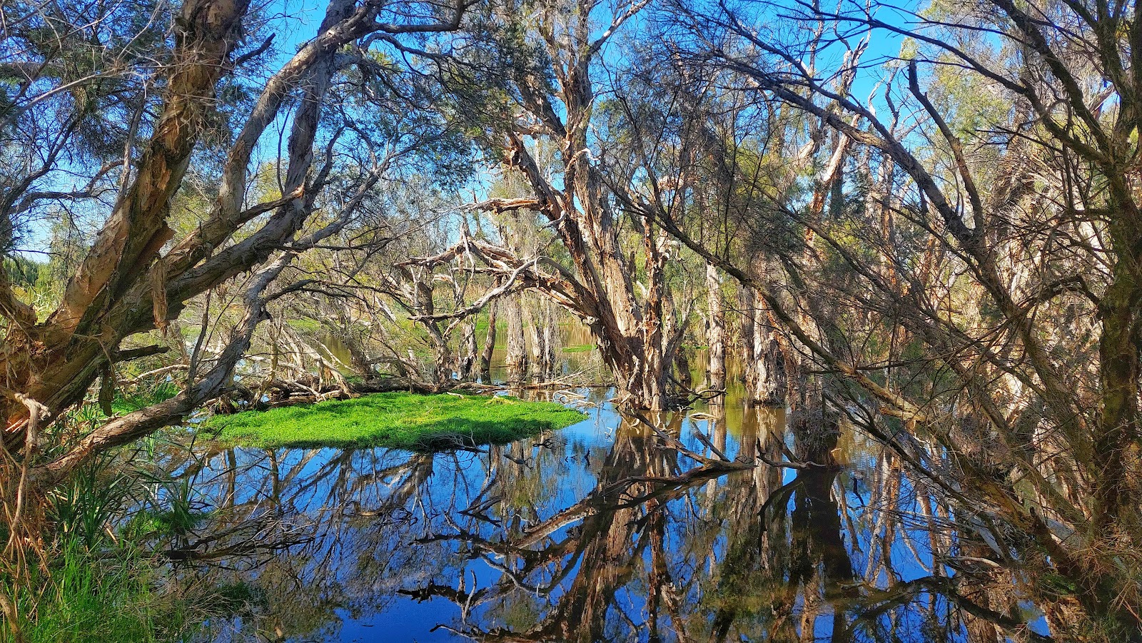 Herdsman Lake Regional Park photo 2