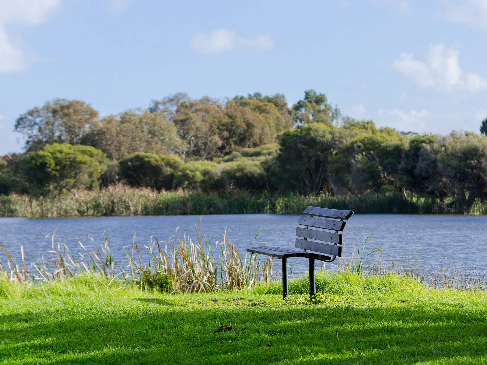 Herdsman Lake Regional Park photo 3