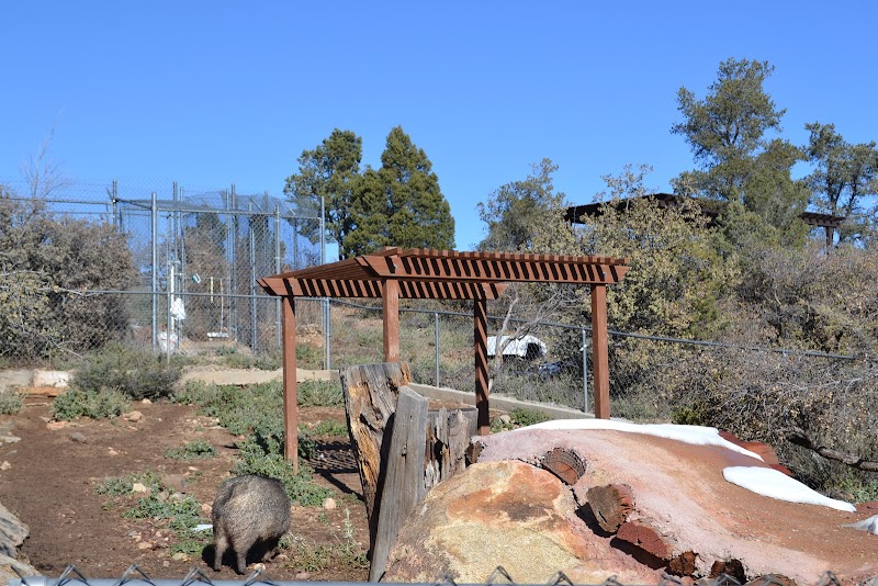 Heritage Park Zoological Sanctuary photo 2