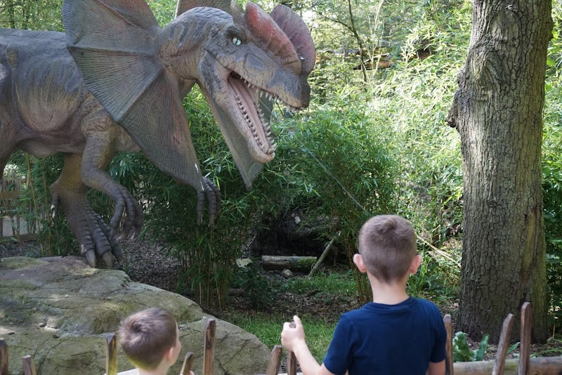 Hertfordshire Zoo