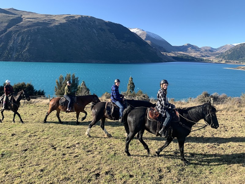Photo of High Country Horse Adventures - Lake Coleridge in Canterbury
