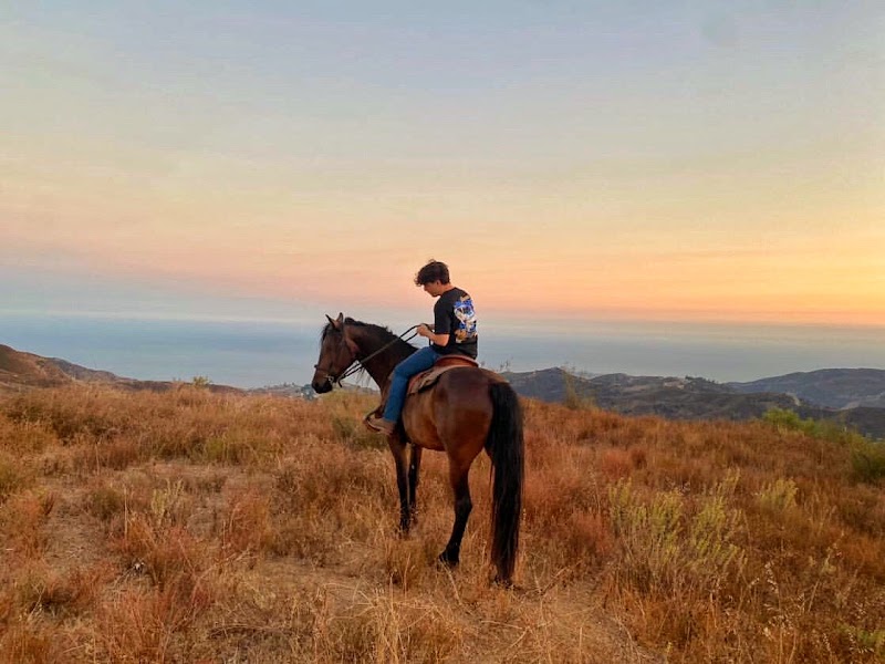 High Horse Malibu