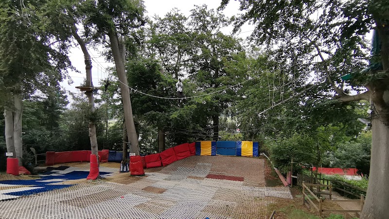 High Ropes at The Oakwood