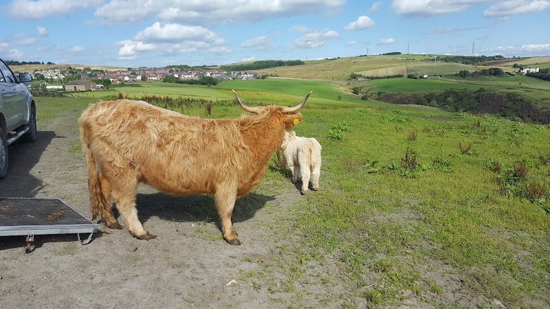 Higher Counthill Farm photo 2