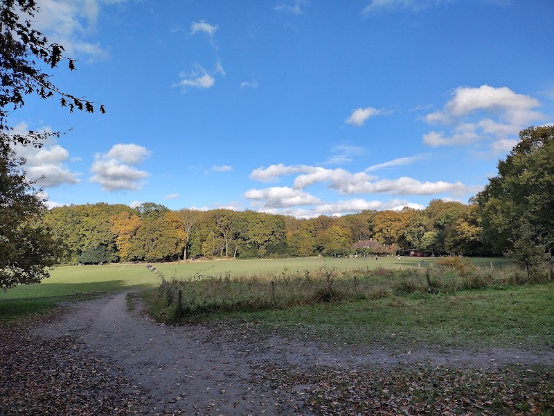 Highgate Wood photo 3