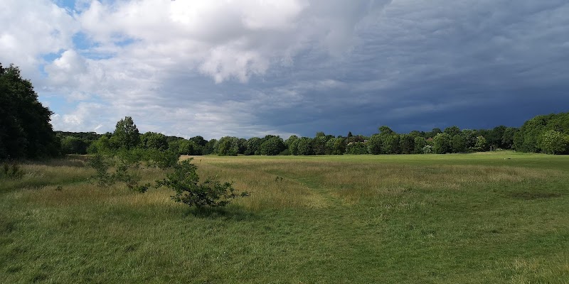 Hillfield Nature Reserve photo 2