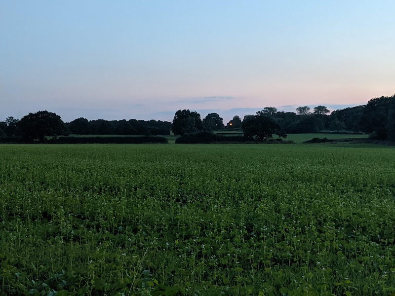 Hillfield Nature Reserve photo 3