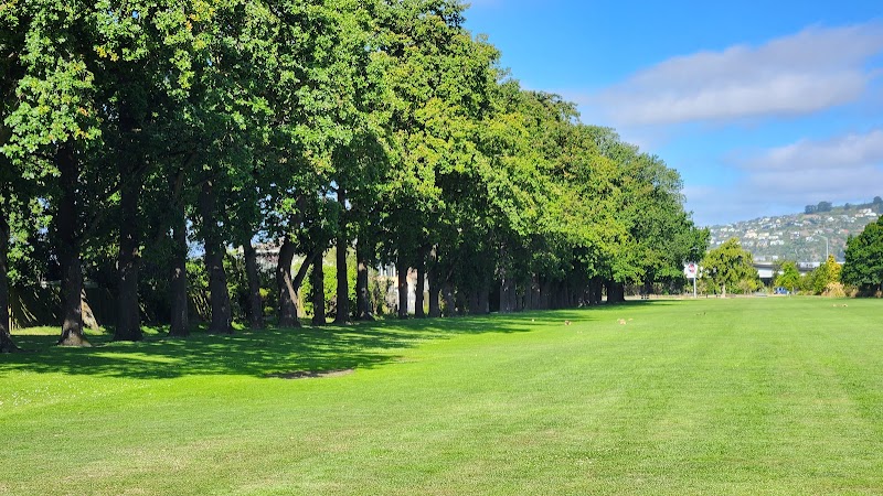 Hillsborough Park Playground photo 2