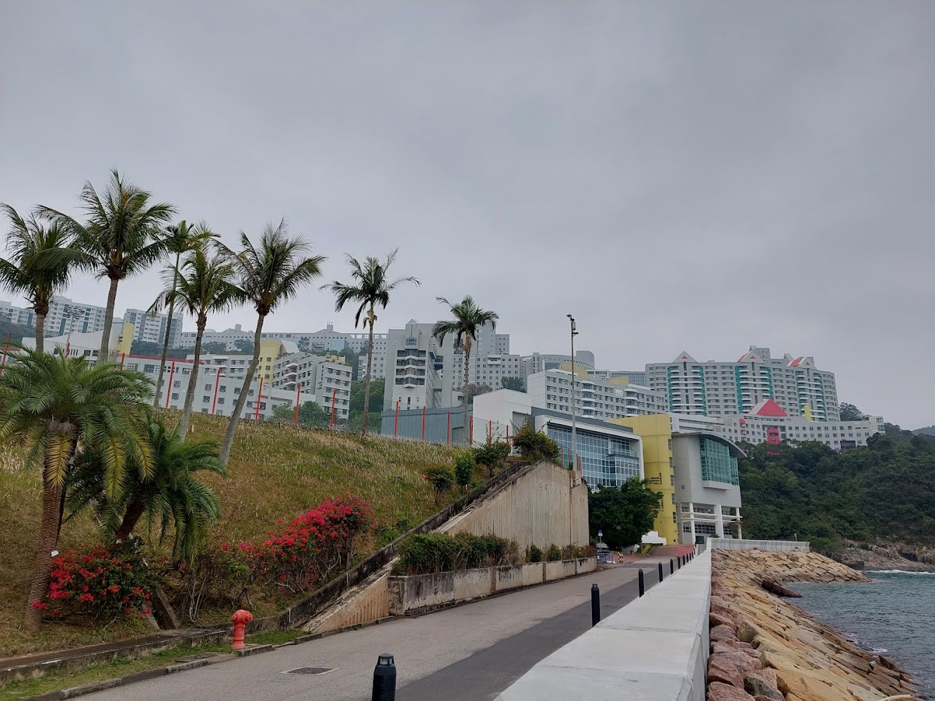HKUST Indoor Swimming Pool Building photo 4