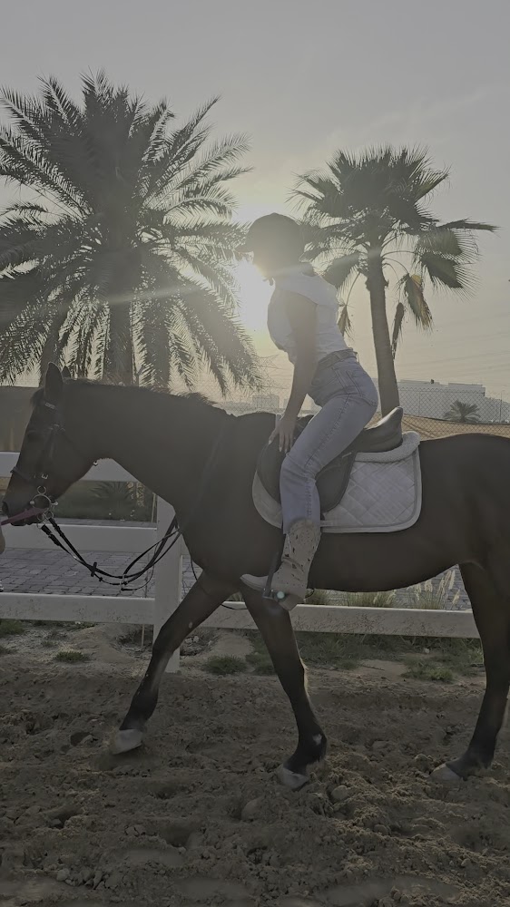 HM EQUESTRIAN CLUB photo 3