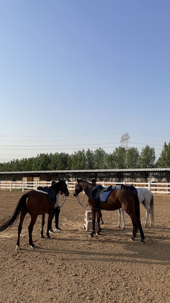 HM EQUESTRIAN CLUB photo 5