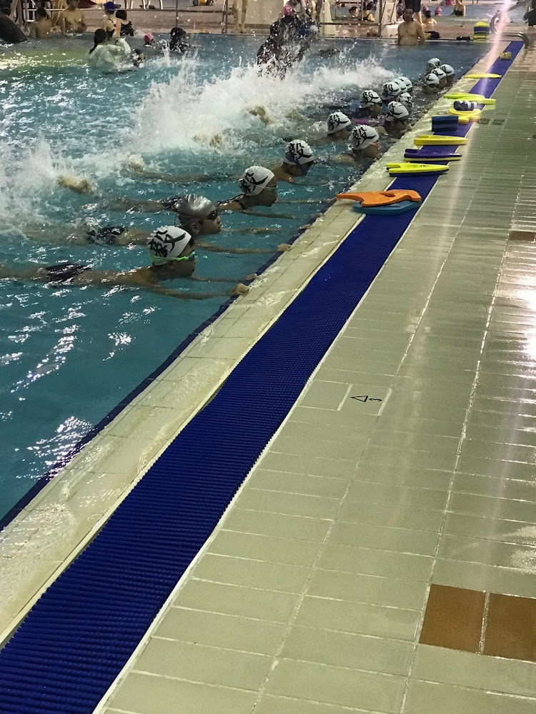 Ho Man Tin Swimming Pool photo 2