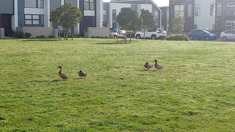 Hobsonville Point Water Park photo 2