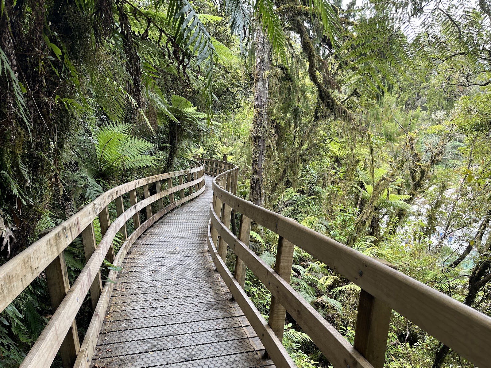 Hokitika Gorge photo 3