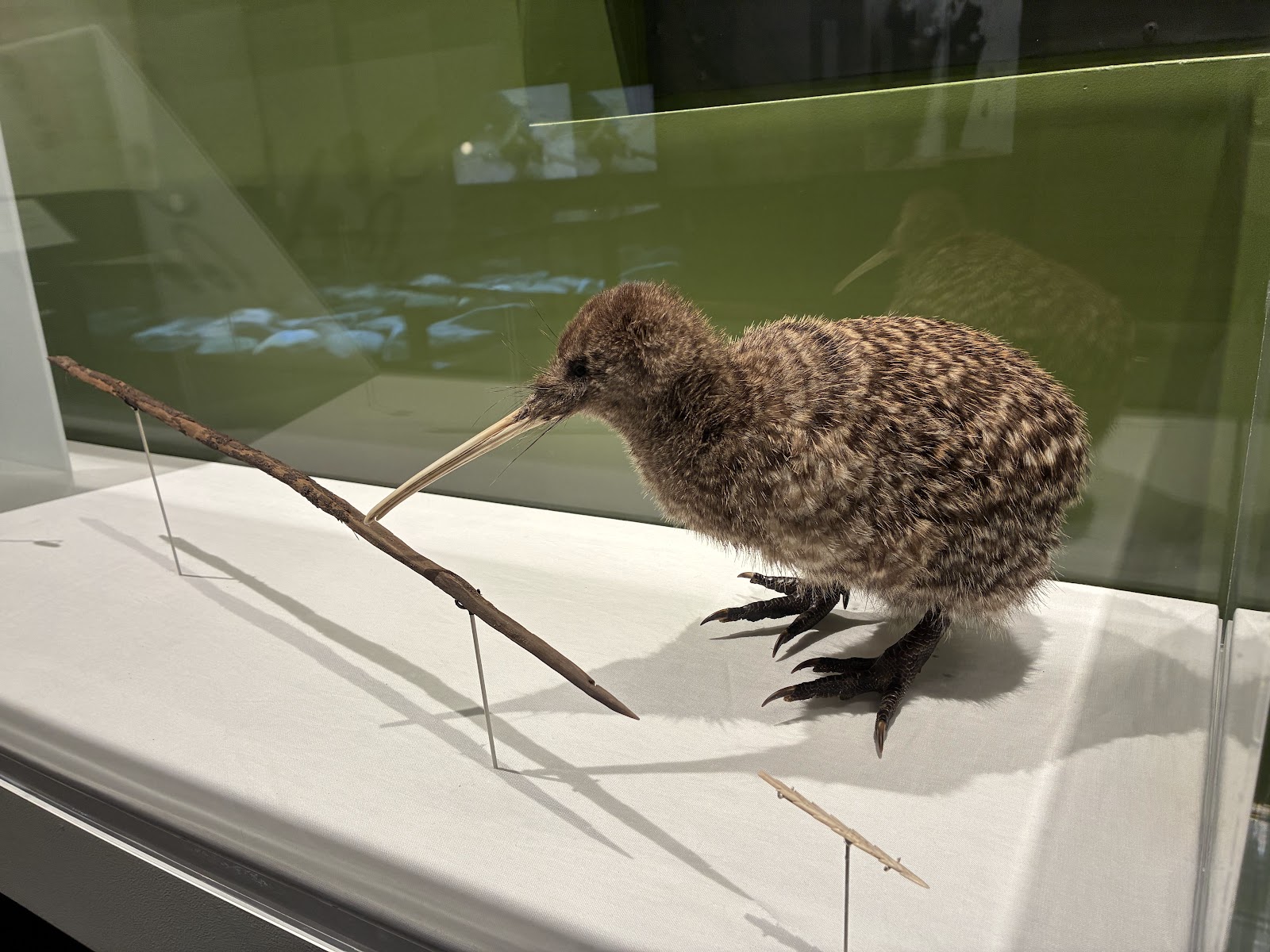 Hokitika Museum photo 2