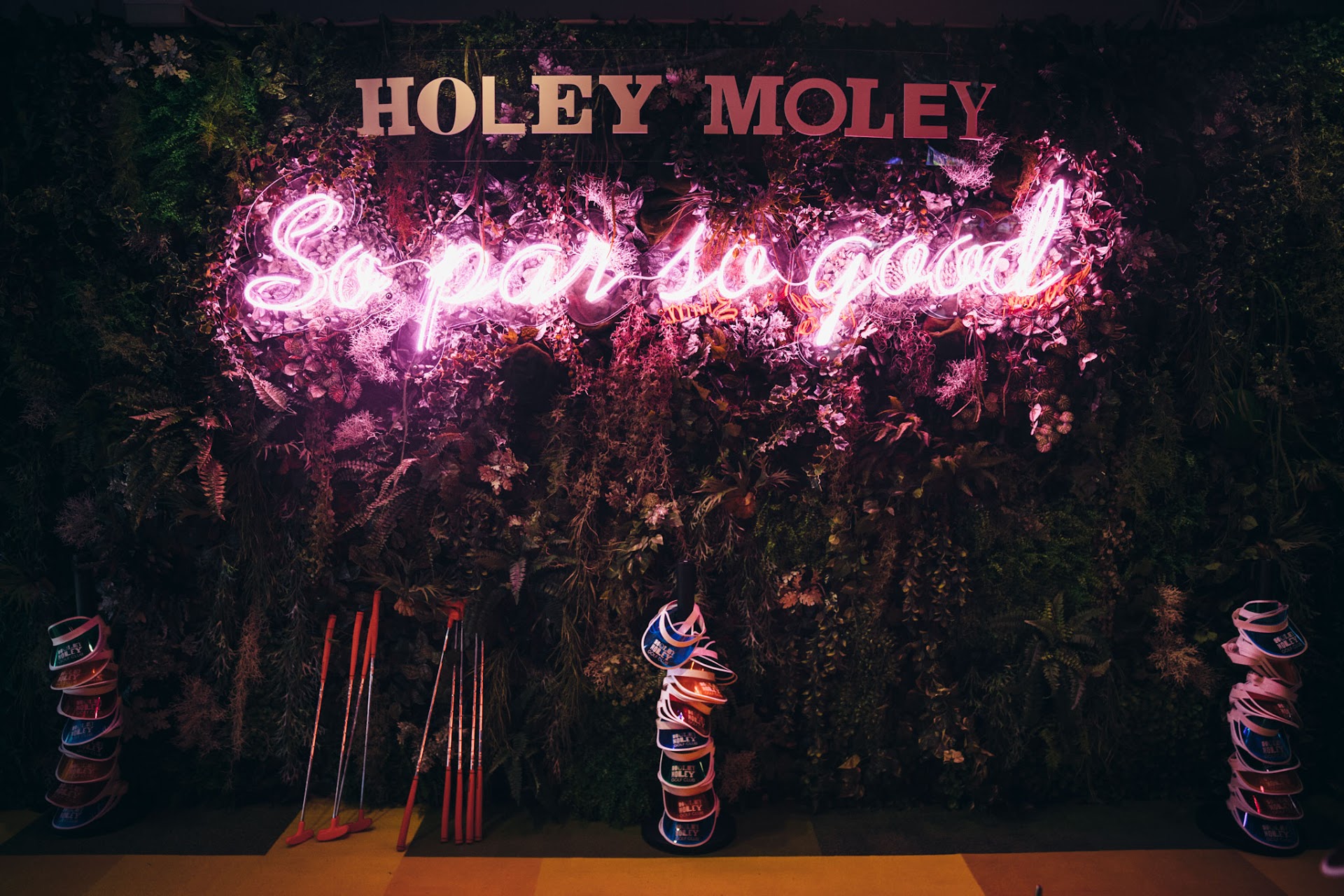Holey Moley Golf Club Castle Towers