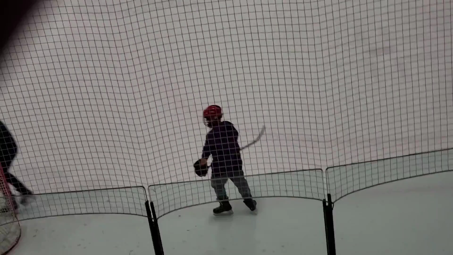 Hollydell Ice Arena photo 2