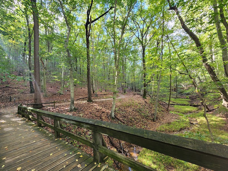 Holmdel Park photo 3