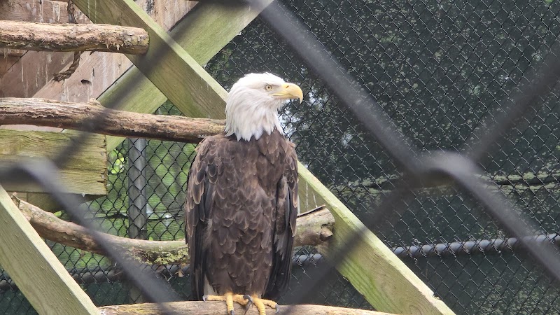 Holtsville Wildlife & Ecology Center