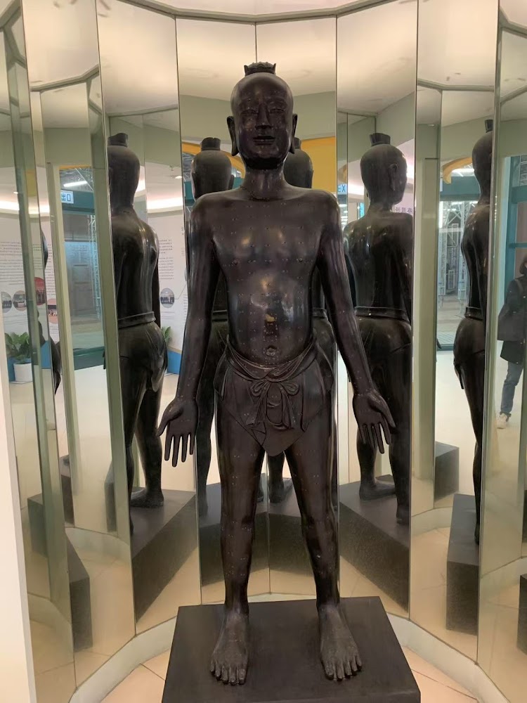 Hong Kong Baptist University Dr. & Mrs. Hung Hin Shiu Museum of Chinese Medicine photo 4