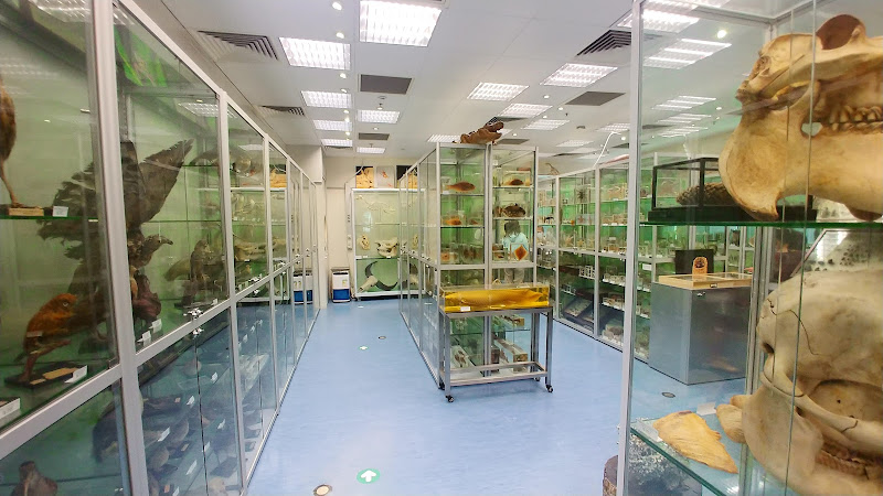 Hong Kong Biodiversity Museum