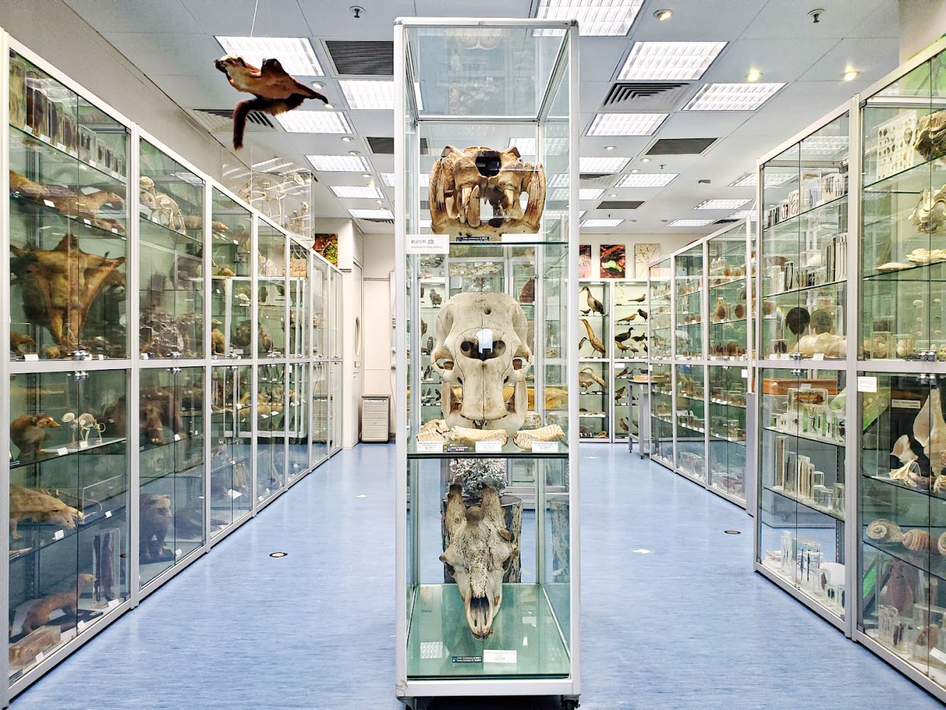 Hong Kong Biodiversity Museum photo 2