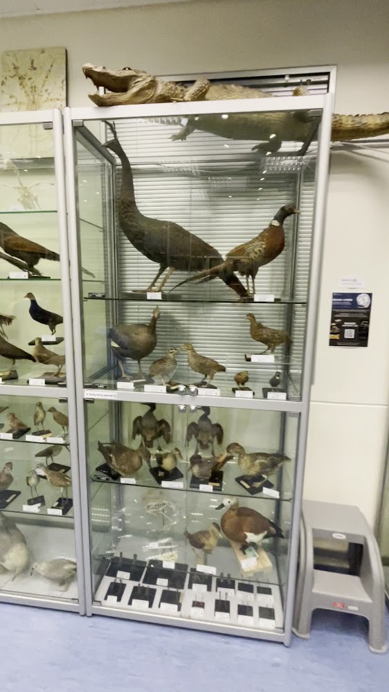 Hong Kong Biodiversity Museum photo 3