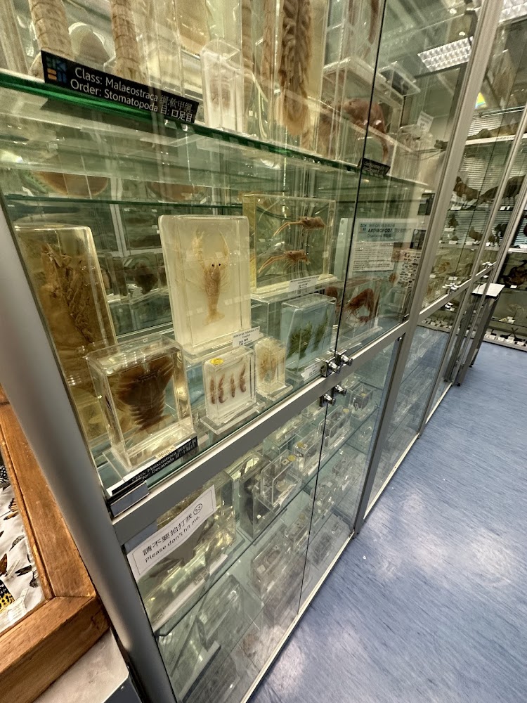Hong Kong Biodiversity Museum photo 5